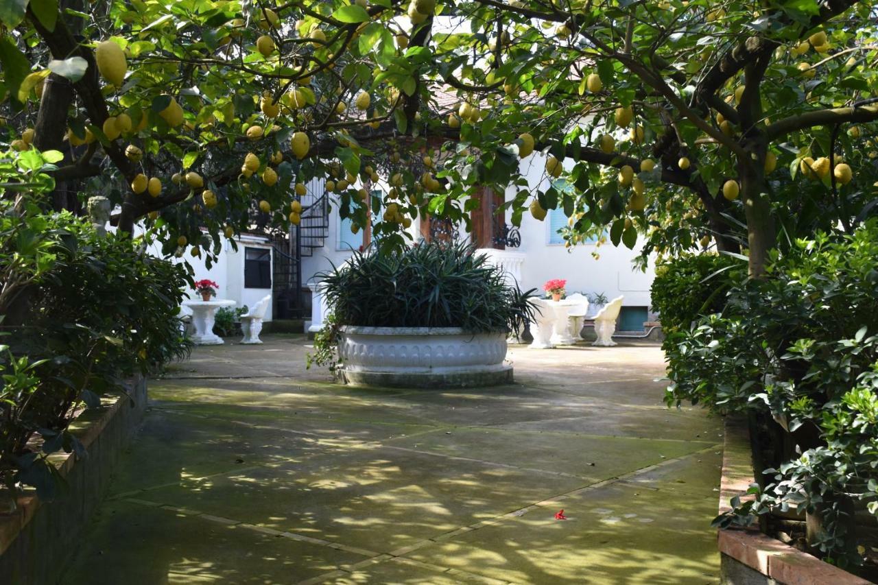 Appartement Casa Dei Limoni à Massa Lubrense Extérieur photo